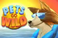 Pets-Go-Wild-min